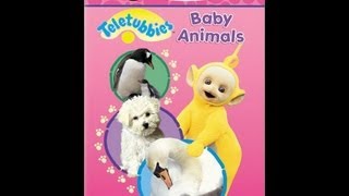 Teletubbies Baby Animals [upl. by Joice]