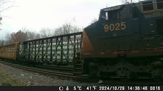 241103 South Facing Backyard Railcam [upl. by Rubinstein964]