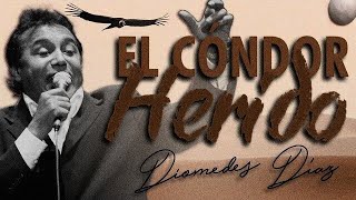 Diomedes Díaz feat Juancho Rois  El Cóndor Herido Letra Oficial [upl. by Eanal]