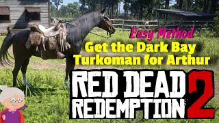 How to get the Dark Bay Turkoman in Chapter 3  Red Dead Redemption 2 [upl. by Nel]