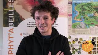 PhytAbeilles  Abeilles sauvages et cultures recherches en cours  Lucas Aubouin [upl. by Gerlac]