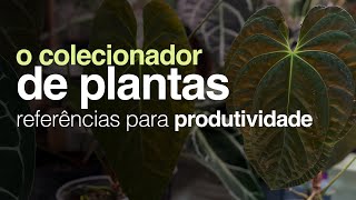 O Colecionador de Plantas  Referências para Produtividade e Uso da Pasta KALI [upl. by Ober484]