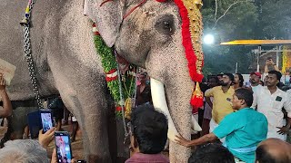 രാമേട്ടൻ മുന്നിൽ ഉണ്ടായാൽ മതി രാമന് 🐘 thechikottukavuramachandran techikottkav ramachandran [upl. by Katharine796]