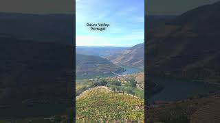 Discover Your DREAM HAPPY PLACE in Douro Valley Portugal [upl. by Polak]