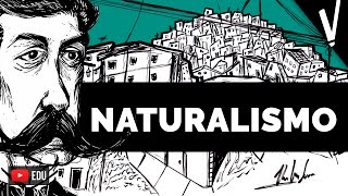 Naturalismo  reVisão  Tatiany Leite Vá Ler um Livro [upl. by Hillegass758]