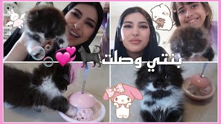 اكيت مفاجأة فلوق كيوت ويا بنتي🐈‍⬛💗🫧 [upl. by Humfrid]