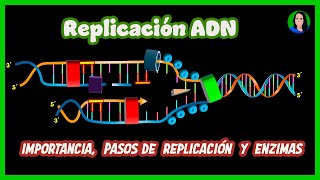 Replicación del ADN  Duplicación [upl. by Monarski370]