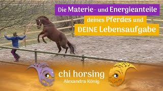 Die Materie und Energieanteile Deines Pferdes weisen Dir den Weg zu Deinen Lebensaufgaben [upl. by Pavier]