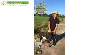 Norhavib Mino  Al Shariff Irrigators Association Inc Philippines [upl. by Leik]