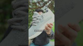 Allbirds shoes explained [upl. by Anitserp864]