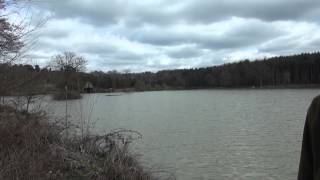 WHITEVANE CARP FISHERY HORSHAM EAST SUSSEX ANGLERS MAIL TACTICAL BRIEFINGS [upl. by Dhumma]