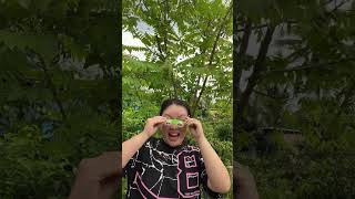 🤣😅🌿Glasses made of funny candy shells 🍀🤣😭🍭 candy shortvideo comedy survival food [upl. by Shargel338]