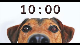 10 Minute Timer for School and Homework  Dog Bark Alarm Sound [upl. by Teahan]