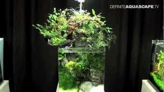 Aquascaping  The Art of the Planted Aquarium 2013 Nano pt7 [upl. by Elehcar950]