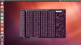 Ubuntu 1204 Forensics  Securely Erasing a Disk and File using Shred [upl. by Murrah925]