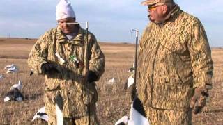 Snow Geese Tips amp Techniques [upl. by Assenahs]