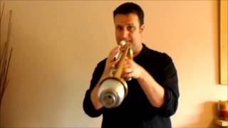 GG Swish wah trumpet [upl. by Ahseekat]