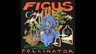 FICUS  Pollinator Full Album 2024 [upl. by Ledba]