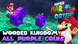 All 100 Purple Coins in Wooded Kingdom Guide  Super Mario Odyssey [upl. by Aseretairam847]