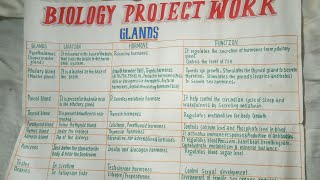 Summary of human gland  Project work  Drawing [upl. by Oile]