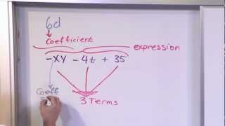 Algebraic Expressions Terms and Coefficients [upl. by Ellett]