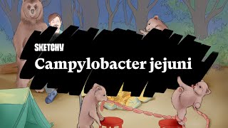 Campylobacter jejuni Causes Symptoms amp Complications Full Lesson Sketchy Medical  USMLE Step 1 [upl. by Relyat589]