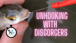 how to use a disgorger [upl. by Malka]