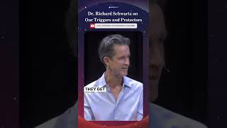 Click above to watch Dr Richard Schwartz at Wisdom 20 2024 [upl. by Connett]