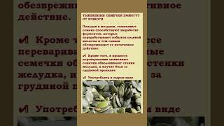 Тыквенные семечки помогут от изжоги [upl. by Eberhart]