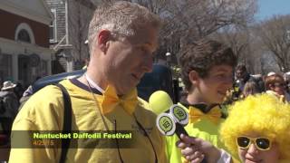 2015 Nantucket Daffodil Festival [upl. by Weinhardt]