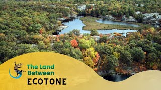 What’s An Ecotone  The Land Between [upl. by Eichman]