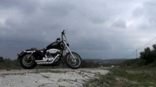 sportster bobber 883 low 2008 [upl. by Stacy791]