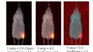 Tips and Techniques  The InVivo MS FX PRO for the Beginning User [upl. by Hnirt]