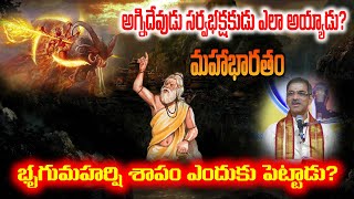 Why did Sage Bhrigu curse Agni  Mahabharatam Telugu  Pravachanam  By Vaddiparti Padmakar Garu [upl. by Aneekas]