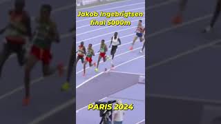 JAKOB INGEBRIGTSEN FINAL DOS 5000M NAS OLIMPIADS DE PARIS 2024 [upl. by Li988]