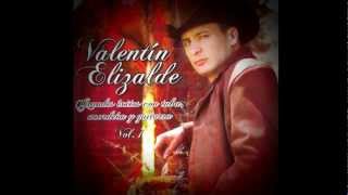 Valentin Elizalde  Esta Cobardia con acordeón tuba y guitarra [upl. by Felt]