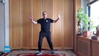 Tai Chi for Arthritis Movements for Beginners [upl. by Nwavahs]