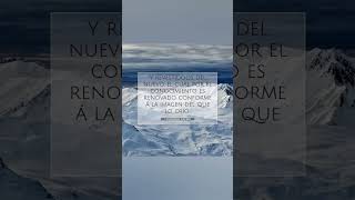 Colosenses 310 jesus bibleverse versiculodelabiblia prosperadosporlapalabra [upl. by Nynahs527]