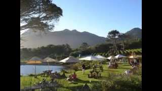 Cape Point Vineyards  Restaurants in Noordhoek [upl. by Nahtanaoj]