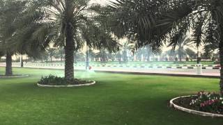 Tareq Alsaadi between palm trees gaui nitro طارق السعدي [upl. by Beckerman]