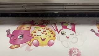 How About SUBLICOOL digital sublimation printer [upl. by Berkin]