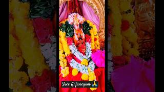 Anjaneyahomam🙏anjaneyaswamytemple homam pooja [upl. by Stent]