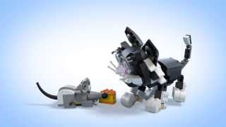 Product Spin  LEGO Creator  31021 [upl. by Bachman439]