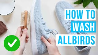 How to WASH ALLBIRDS sneakers  Clean and fresh [upl. by Atsuj]