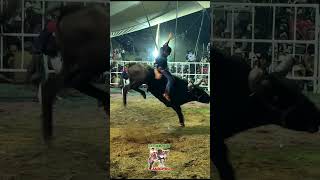 Halconcito de Yecapixtla vs Conjuro de Rancho El Guamuchil jaripeo [upl. by Lashondra962]