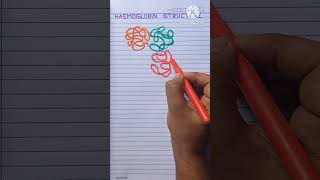 Haemoglobin Structure Proper viral shorts youtubeshorts neet biology drawing shortvideo [upl. by Navek992]