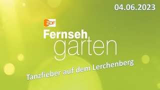 ZDF Fernsehgarten 04062023  Tanzfieber auf dem Lerchenberg Discofox amp mehr Ganze Sendung [upl. by Enitsirt]