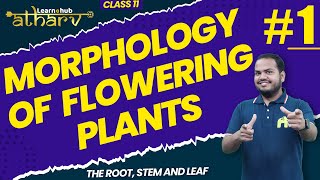 Morphology of Flowering Plants Class 11 Biology NCERT Chapter 5 1  Root Stem Leaf  Atharv Batch [upl. by Bobinette]