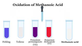 Carboxylic Acids Naming Preparation and reactions [upl. by Dorothee]