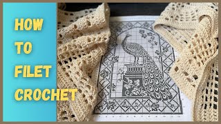 How to Filet Crochet Vintage crochet [upl. by Hareenum954]